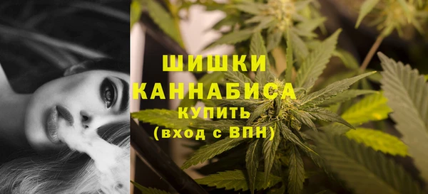 ПСИЛОЦИБИНОВЫЕ ГРИБЫ Липки