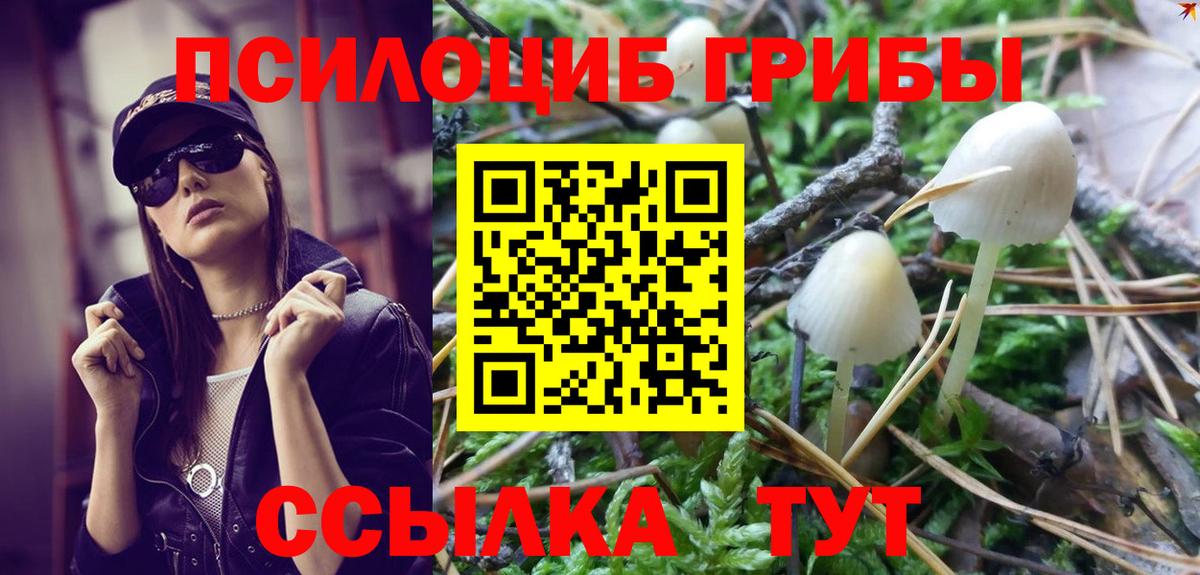 Чита  Псилоцибиновые грибы MAGIC MUSHROOMS  Вход с VPN 