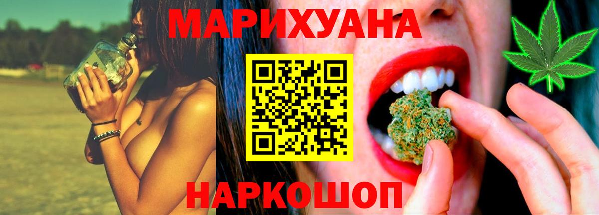 Конопля сатива Чита